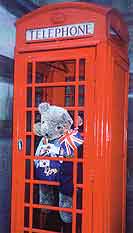 Teddy in phone booth in UK