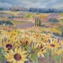 France Sunflowers